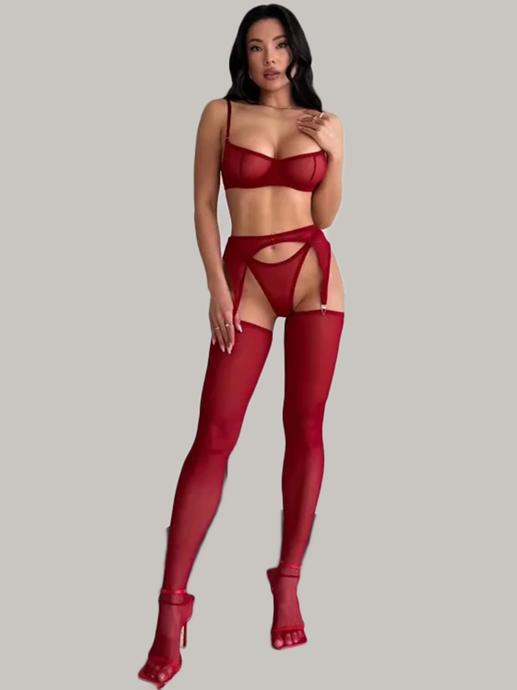 Garter Belt Set - Set Lingerie Transparan Warna Burgundy untuk